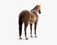 Чистокровная верховая лошадь 3D модель