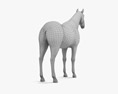 Чистокровний верховий кінь 3D модель