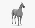 Арабская чистокровная лошадь 3D модель
