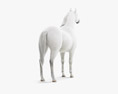Арабская чистокровная лошадь 3D модель