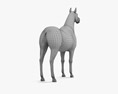 Arabe cheval Modèle 3d
