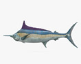 马林鱼 3D模型