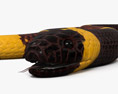 サンゴヘビ 3Dモデル