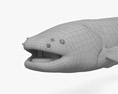 電鰻 3D模型
