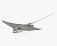 雪花鴨嘴燕魟 3D模型