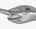 점박이 독수리 가오리 3D 모델 