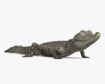 Crocodilo bebê Modelo 3d