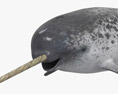 独角鲸 3D模型