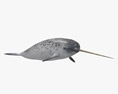 独角鲸 3D模型