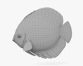 圆盘鱼 3D模型