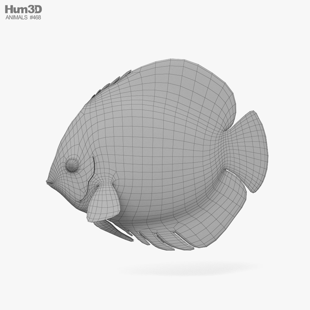 Discus Fish 3d Model - Download Animals On 3dmodels.org