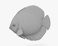 Discus Fish Blue 3D模型