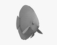 Discus Fish Blue 3D модель