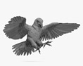 Red-tailed Hawk Attacking 3d model