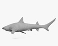 Reef Shark 3D модель
