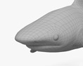 Reef Shark 3D-Modell