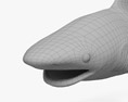 Reef Shark 3D模型