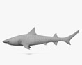 Reef Shark 3D 모델 