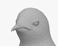 Penguin Chick 3d model
