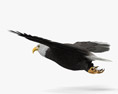 Bald Eagle Flying 3D модель