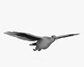 Bald Eagle Flying 3D模型