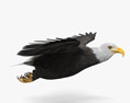 Bald Eagle Flying 3d model