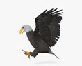 Bald Eagle Attacking 3d model