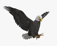 Bald Eagle Attacking Modèle 3d