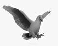 Bald Eagle Attacking Modelo 3D