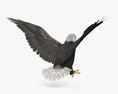 Bald Eagle Attacking Modèle 3d