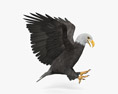 Bald Eagle Attacking 3d model