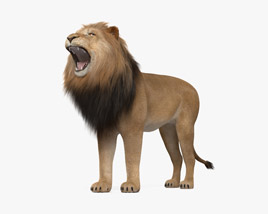 Lion rugissant Modèle 3D