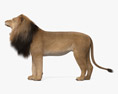 Lion rugissant Modèle 3d