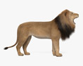 Lion rugissant Modèle 3d