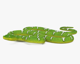에메랄드나무왕뱀 3D 모델 