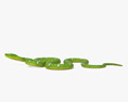 에메랄드나무왕뱀 3D 모델 