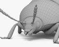 Colorado Potato Beetle 3d model