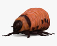 Личинка колорадского жука 3D модель