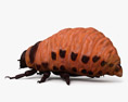 Larva do Besouro da Batata do Colorado Modelo 3d
