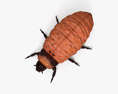 科罗拉多马铃薯甲虫幼虫 3D模型