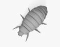 Colorado Potato Beetle Larva 3d model
