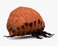 Личинка колорадського жука 3D модель