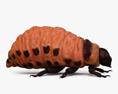 Larva do Besouro da Batata do Colorado Modelo 3d