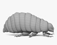 Larva dello scarabeo della patata del Colorado Modello 3D