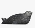 Weddell Seal 3d model