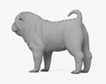 샤페이 강아지 3D 모델 