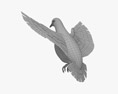 White Dove Flying Modello 3D