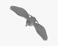 White Dove Flying 3D-Modell