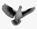 White Dove Flying 3Dモデル