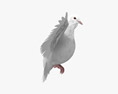 White Dove Flying 3D 모델 